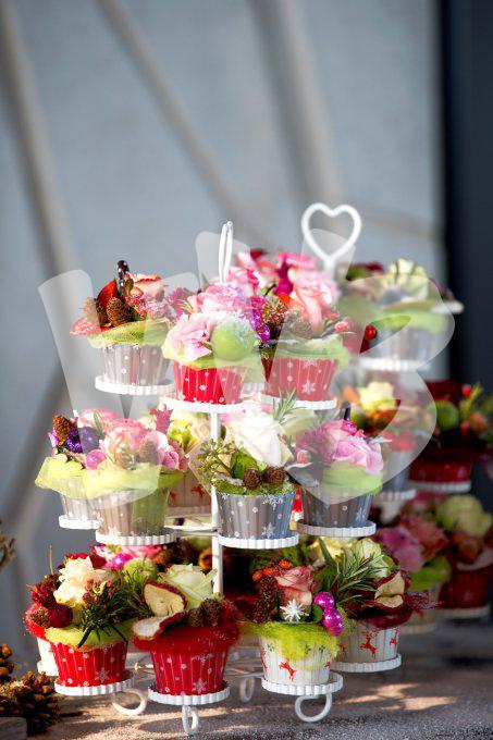 bloemen en planten vvbvanbree     1136